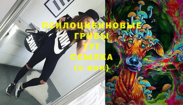 стафф Абинск