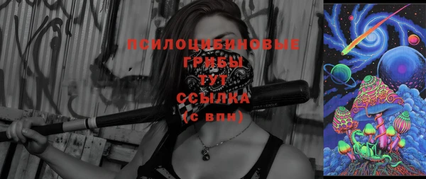 стафф Абинск